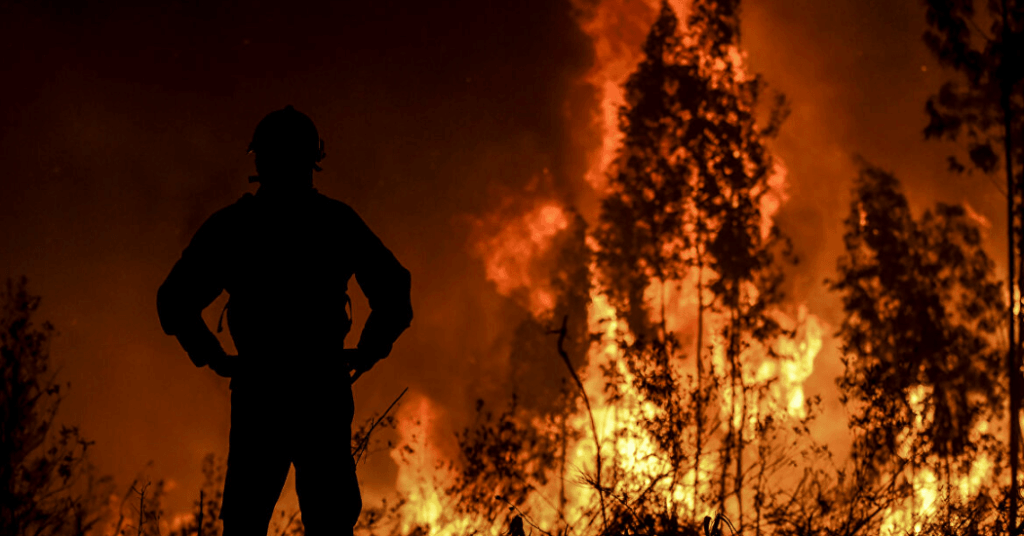 Incêndio florestal