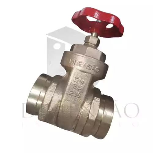 VÁLVULA GAVETA 2.1/2" RANHURADA 73/76 mm